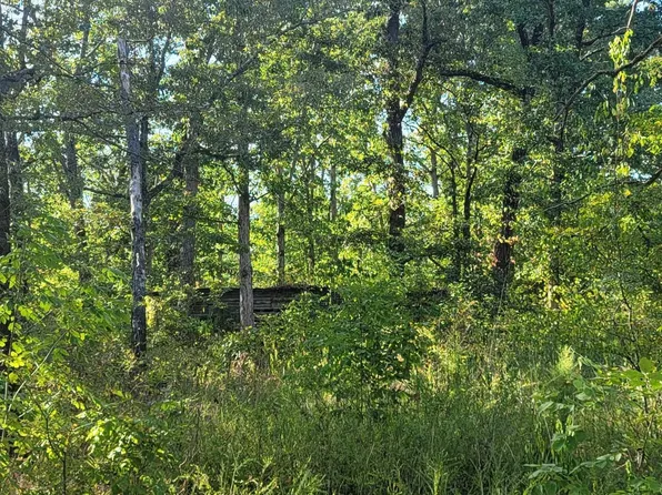 3105 Brodies Landing Rd, Parsons, TN 38363