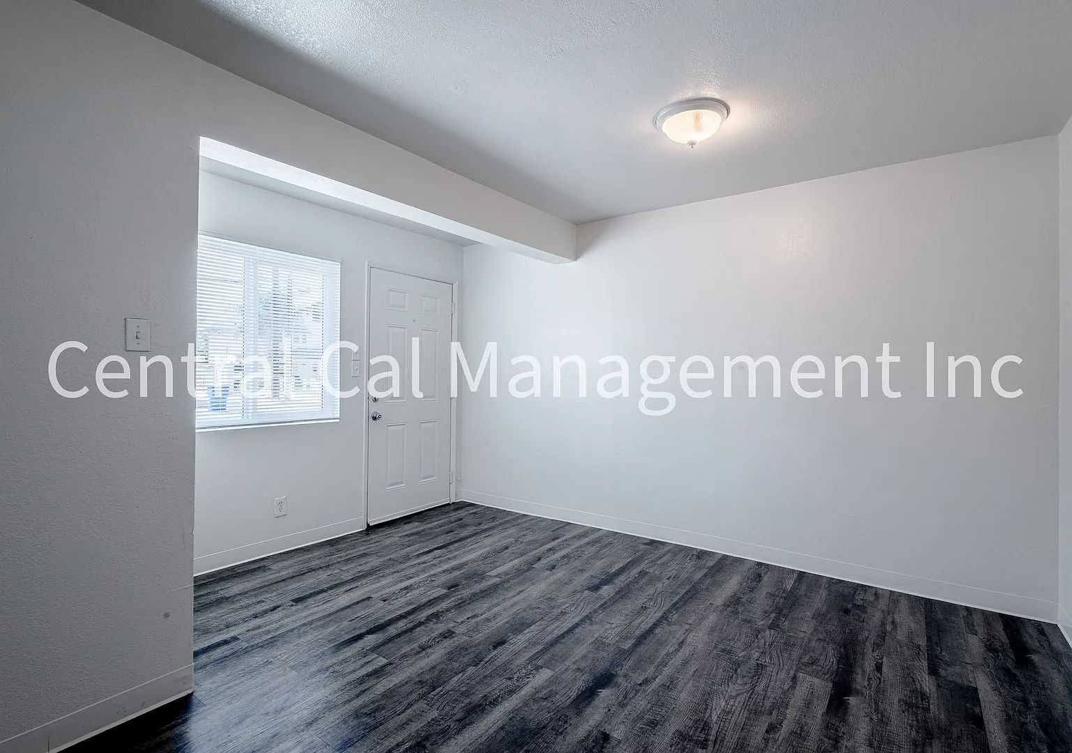 2334 Dracena St — Photo 4