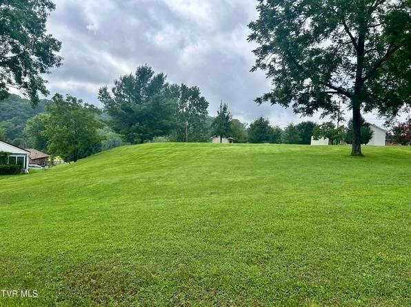 Brandon Ln, Kingsport, TN 37660