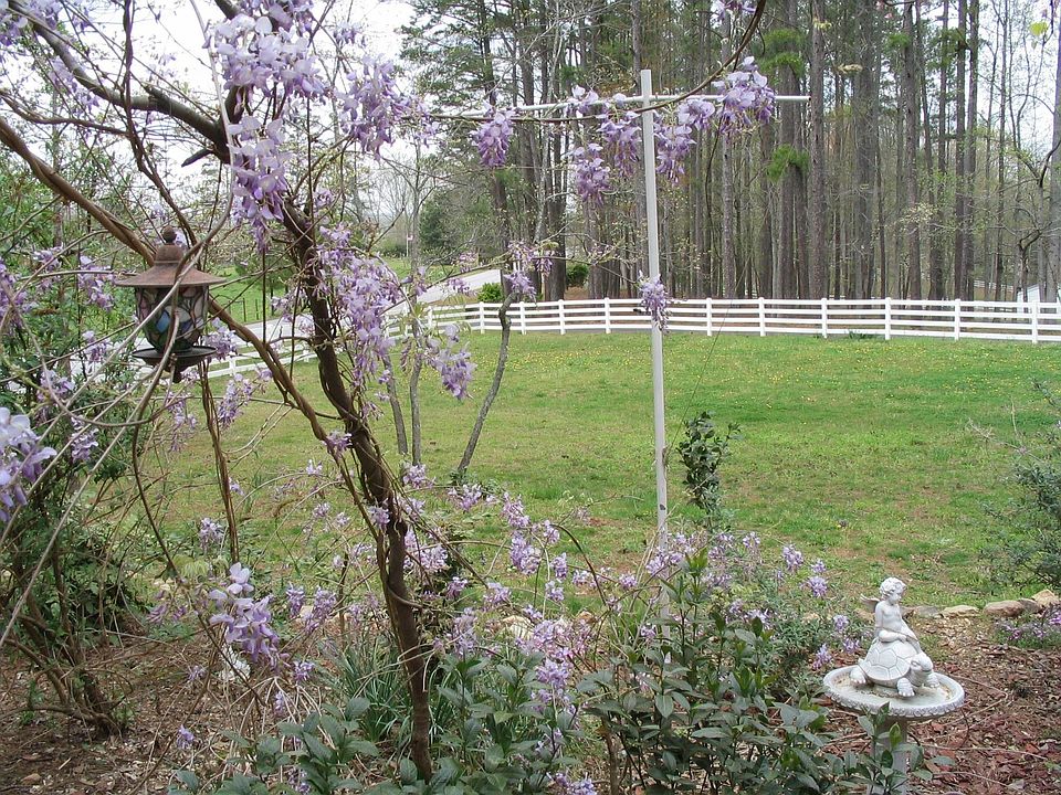 side view of yard