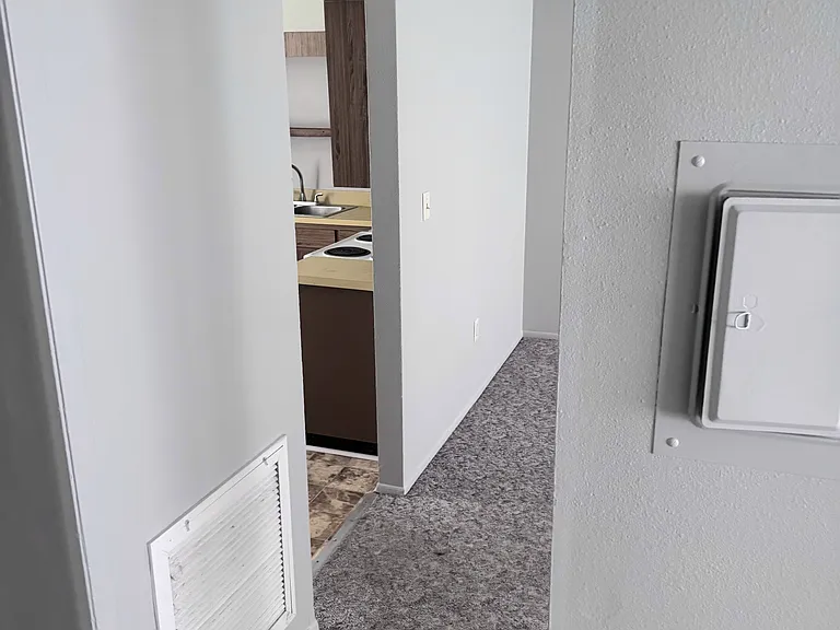 217 W Polk St #3 — Photo 13