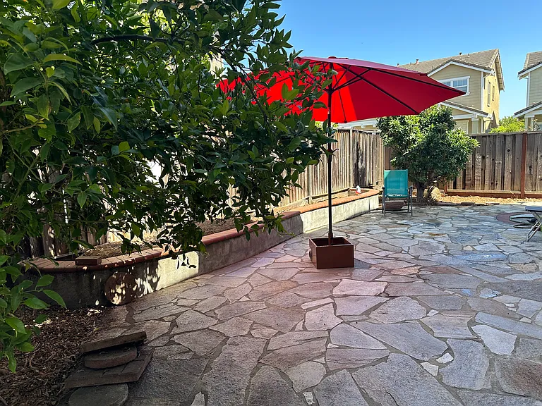 923 Ferro Dr — Photo 30
