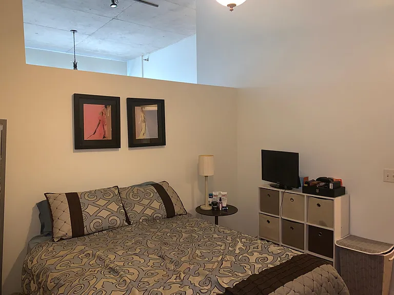 1620 S Michigan Ave #1213 — Photo 9