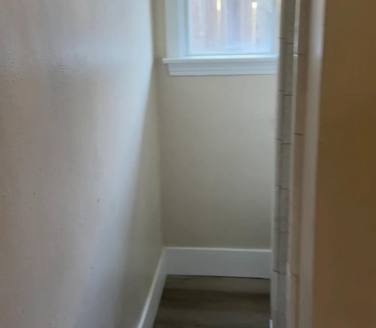 1 bed, 800 sqft, $1,000 — Photo 4