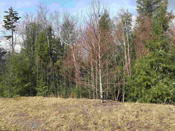 75 Canal St, Davis, WV 26260