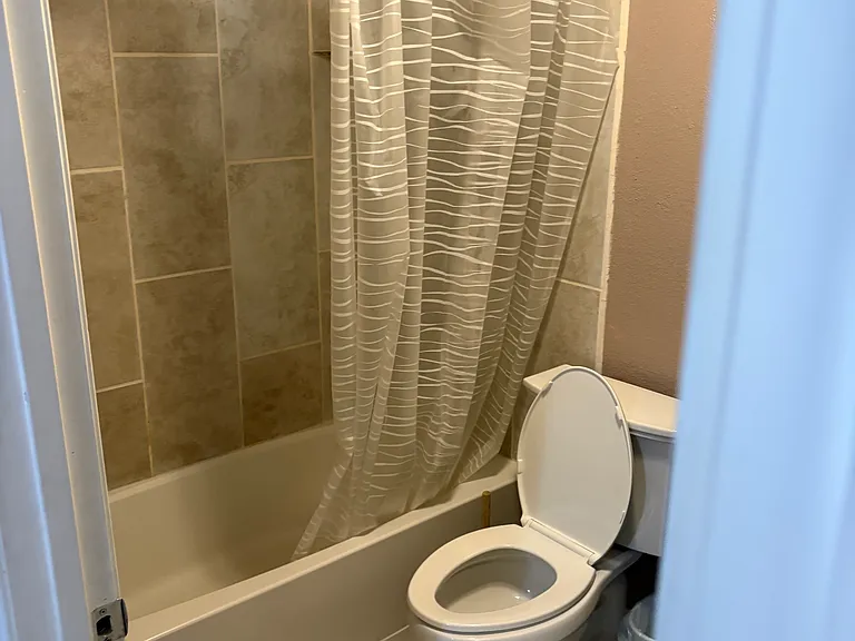 300 W Jefferson Ave #2 — Photo 8