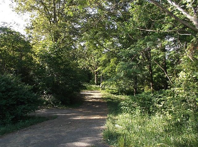 1st image of 5435 Bark Camp Dr