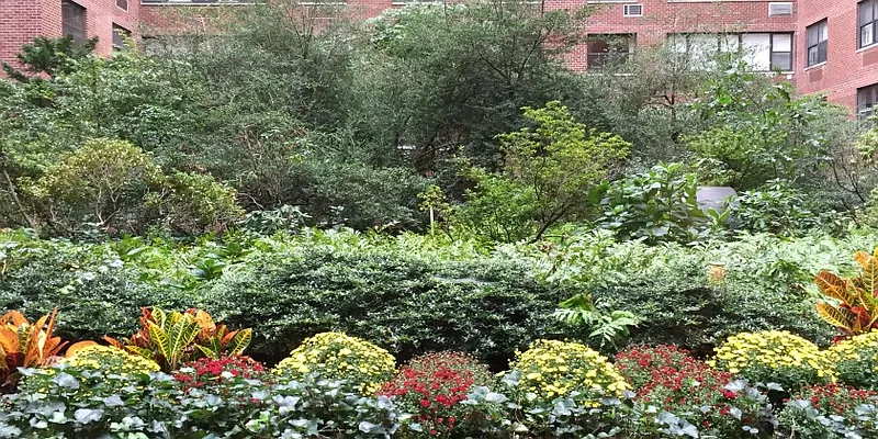 Rented by Sutton Gardens | media 15