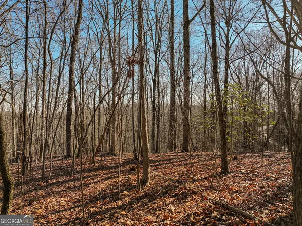 5 Mount Mincie Rd, Murrayville, GA 30564