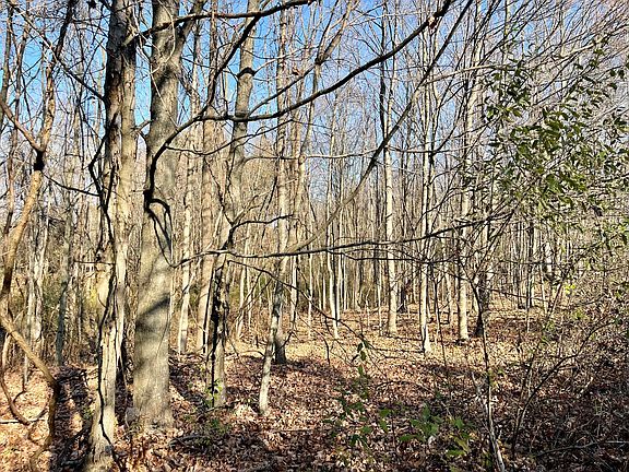 2nd image of 7162 N State Route 61