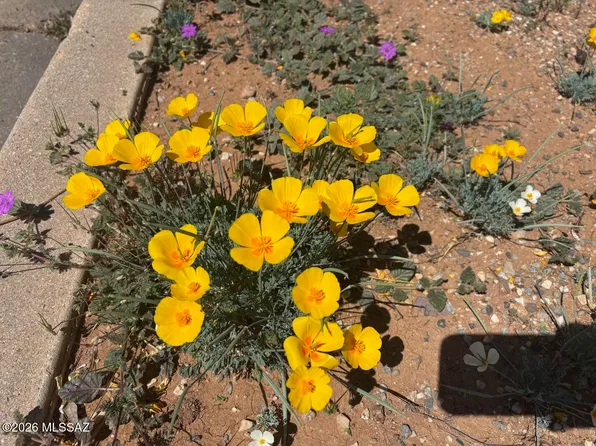 Vacant Justin St Lot E, Pearce, AZ 85625