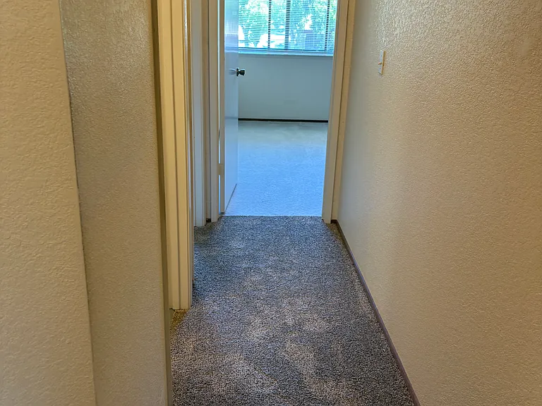 10 Peppermill Ct — Photo 12