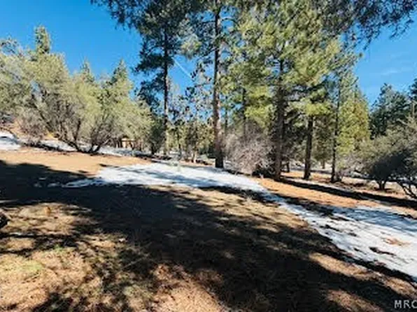 808 Antelope Mountain Dr, Big Bear City, CA 92314