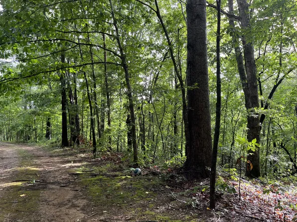 0 Ellison Goolsby Ln Lot 14/15, Bloomington Springs, TN 38545