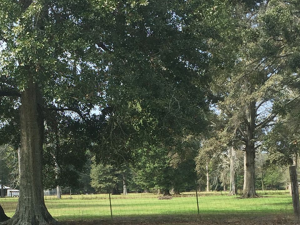 2nd image of Wye Rd