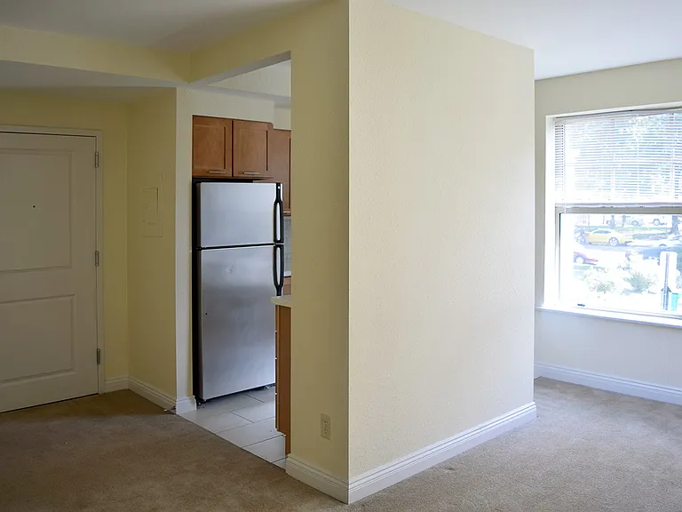 Dining/Living room