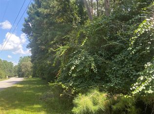 22922 Blackgum Dr, Magnolia, TX 77355