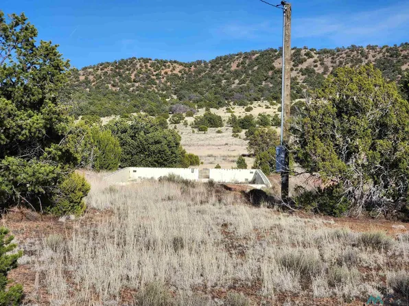 119 Deer Trl, Pie Town, NM 87827