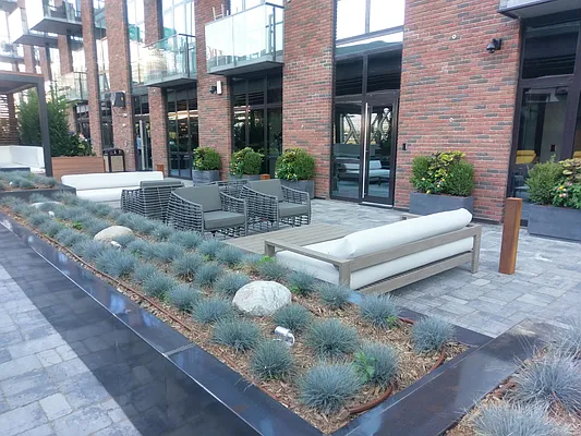 Rented by Fiddler Realty | media 102