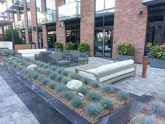 Rented by Fiddler Realty