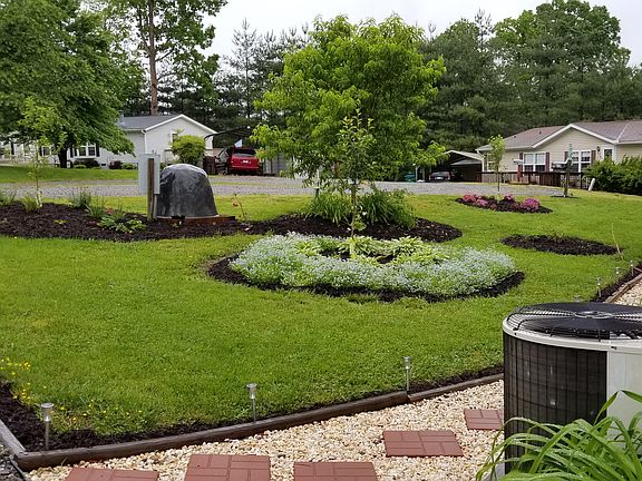 6 dif fruit trees in Lndscap