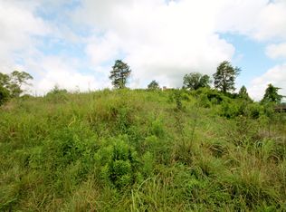 918 Howell Rd, Mascot, TN 37806