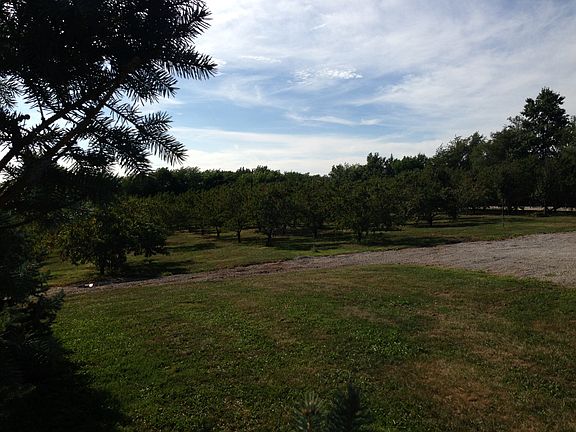 orchard