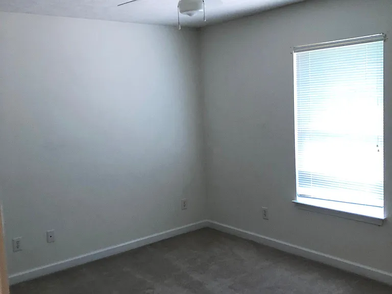 208 Shore Rush Dr — Photo 17