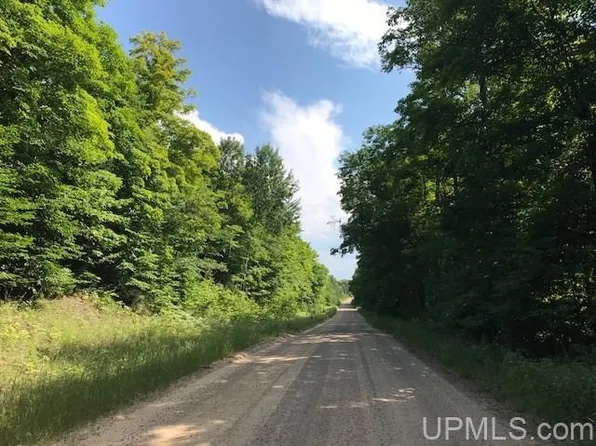 Tbd Rock River Rd, Deerton, MI 49822