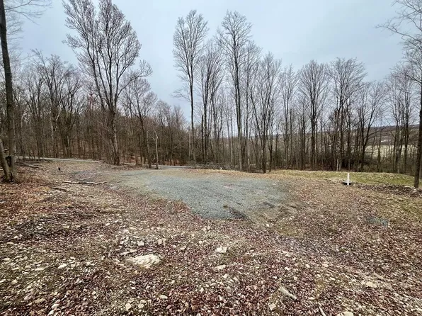 0 Hall Rd, Columbia Cross Roads, PA 16914