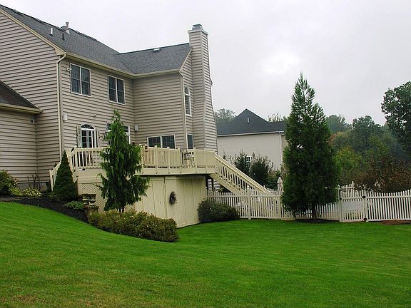 Back View