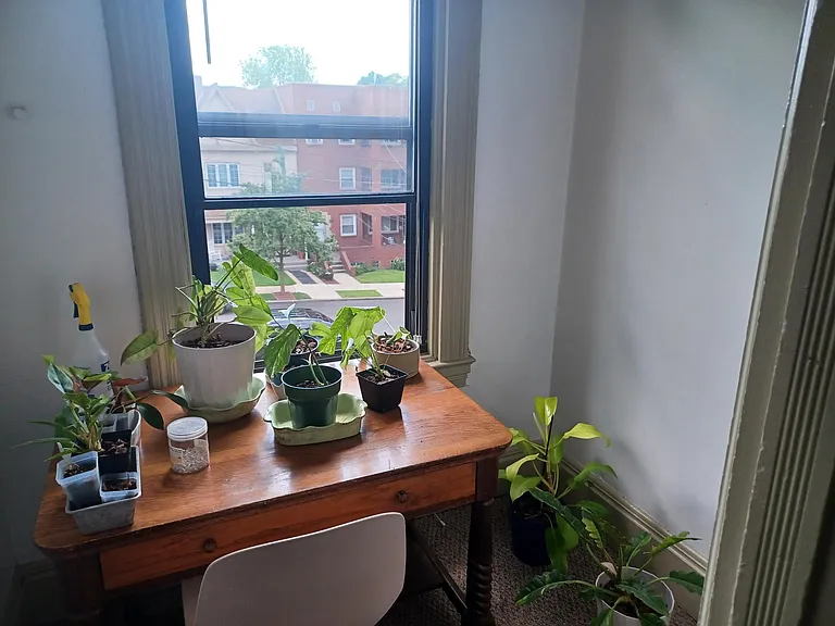 534 S Winebiddle St #2 — Photo 21