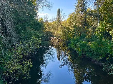 Property photo 80