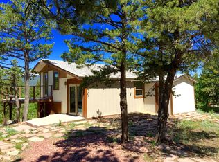 23 Wildewood Dr, Nederland, CO 80466