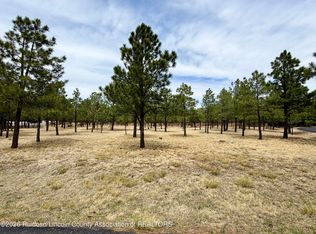 105 Goldenrod Ln, Alto, NM 88312