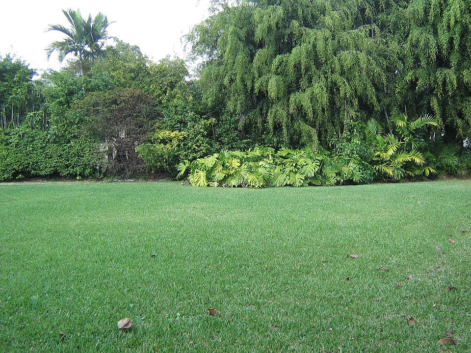 YARD 19,000"