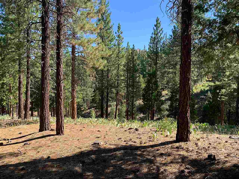 1st image of 226 Starflower Dr