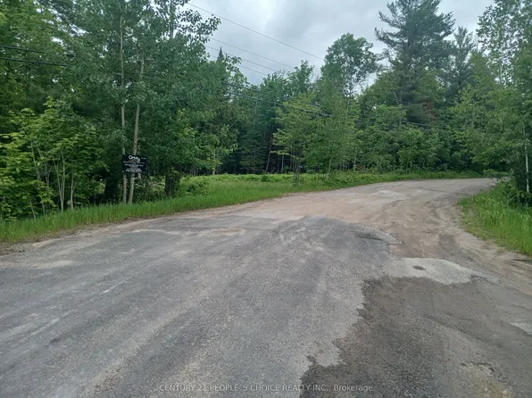 1005 Porkys Rd, Minden Hills, ON K0M 2K0