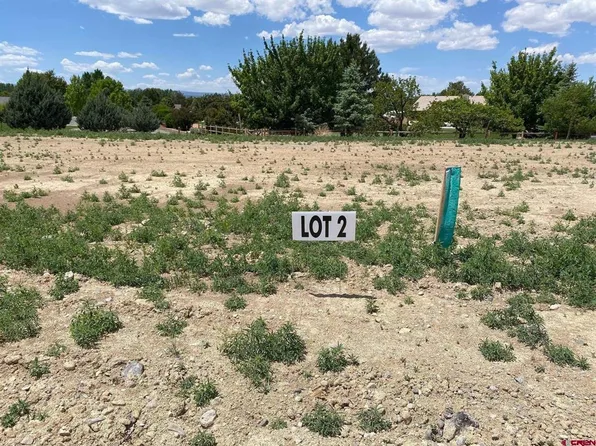 Lot 2 6700 Road, Montrose, CO 81401