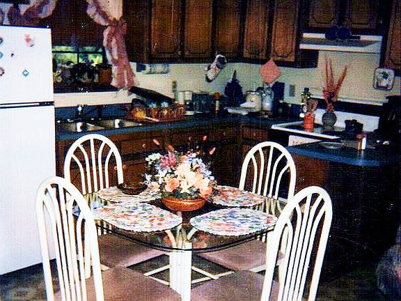 Kitchen/Dining