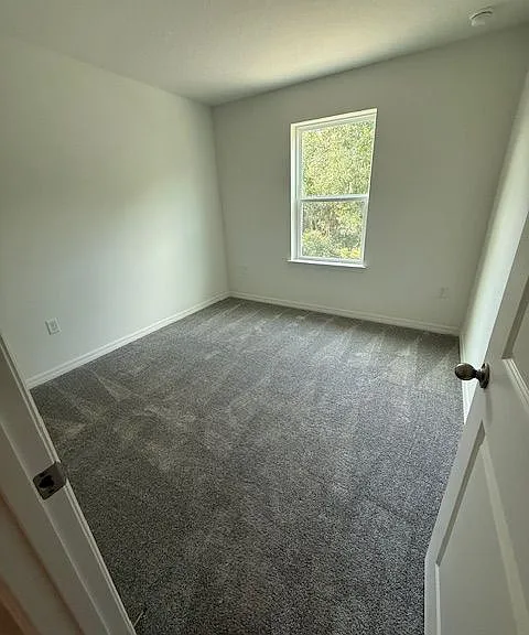 5236 Luisa Ct — Photo 6