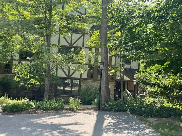 1157 N Peak Pass Dr, Harbor Springs, MI 49740