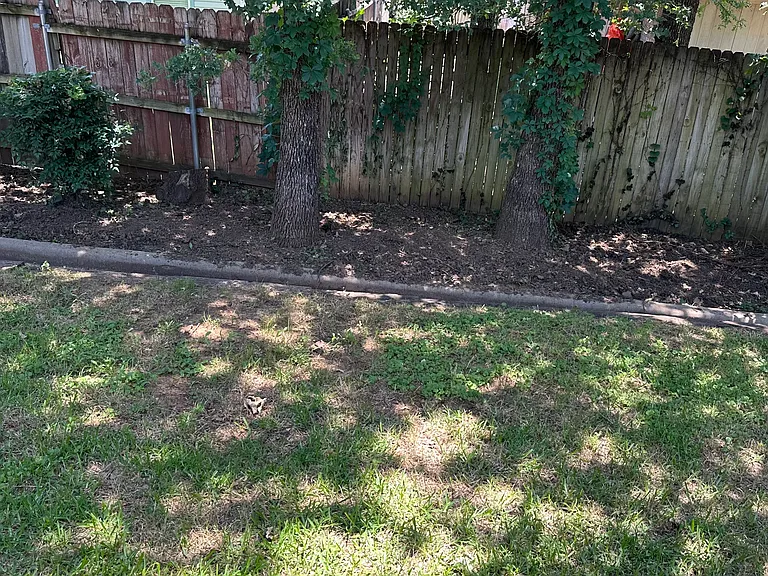 1117 Hidden Glade Dr — Photo 9