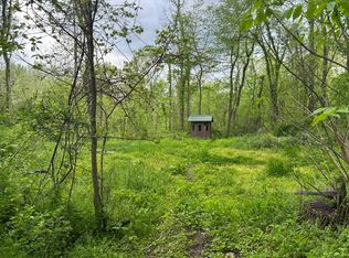 Litchfield Rd, Quincy, MI 49082