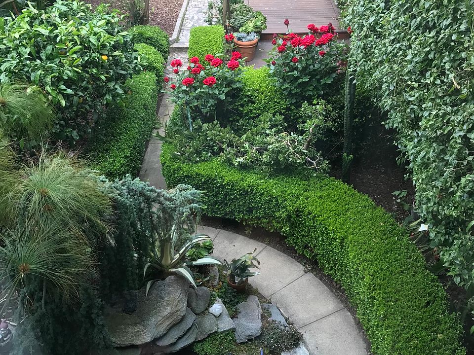 garden view from master