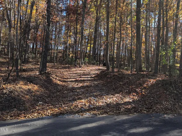 1578 Hunting Hill Rd, Bluff City, TN 37618