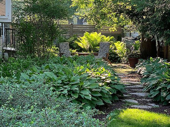 Side yard