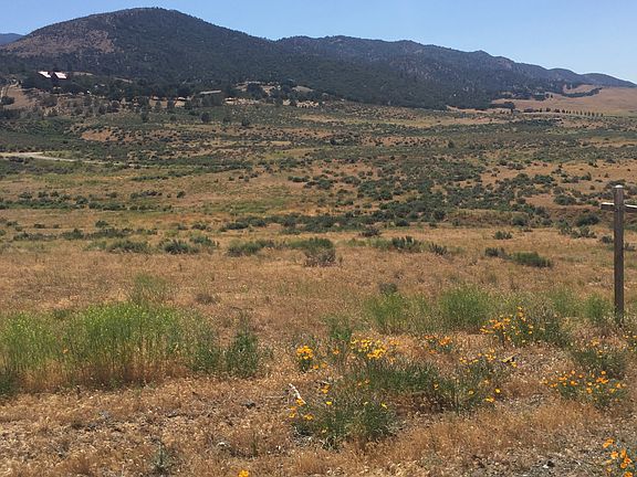 NW from frontage. Poppies