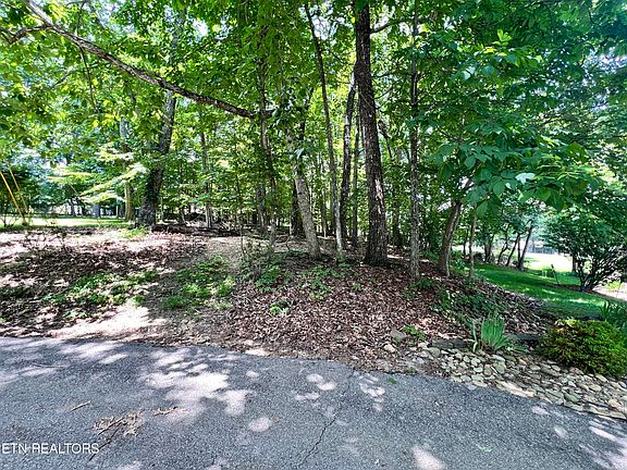 4th image of 16 Killearn Ct