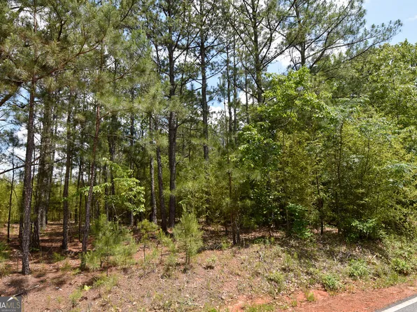0 Skelton Rd Lot 10, Thomaston, GA 30286